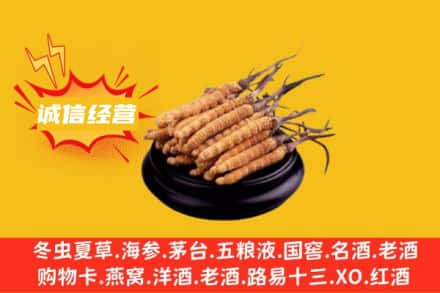 平昌县回收冬虫夏草